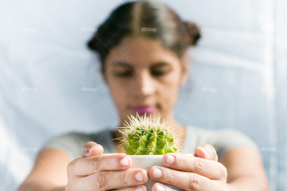 Indoor plant.