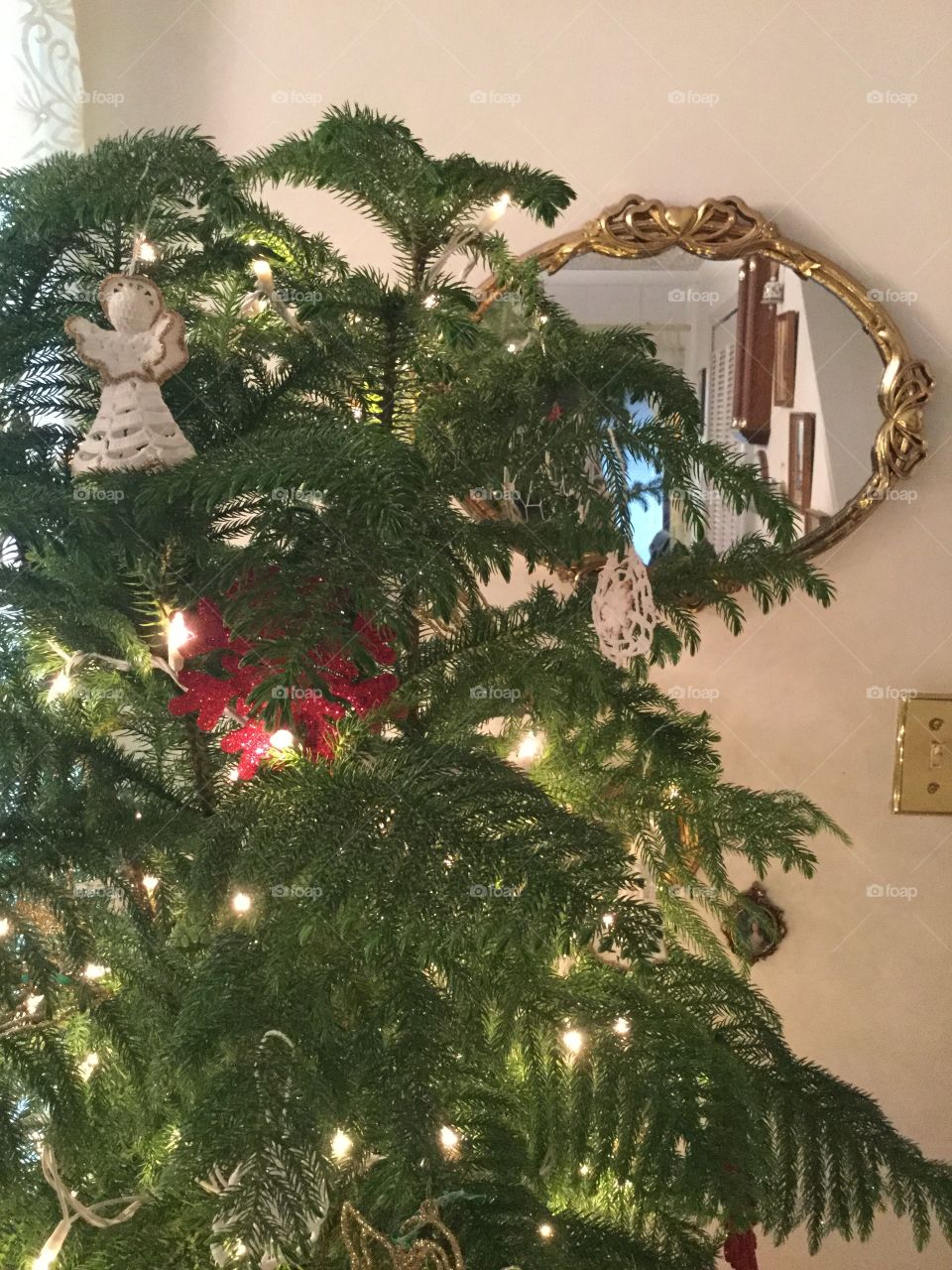 Christmas, Winter, Tree, Decoration, Pine