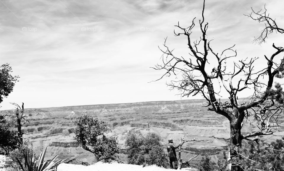 Grand Canyon in Arazonia in black and white