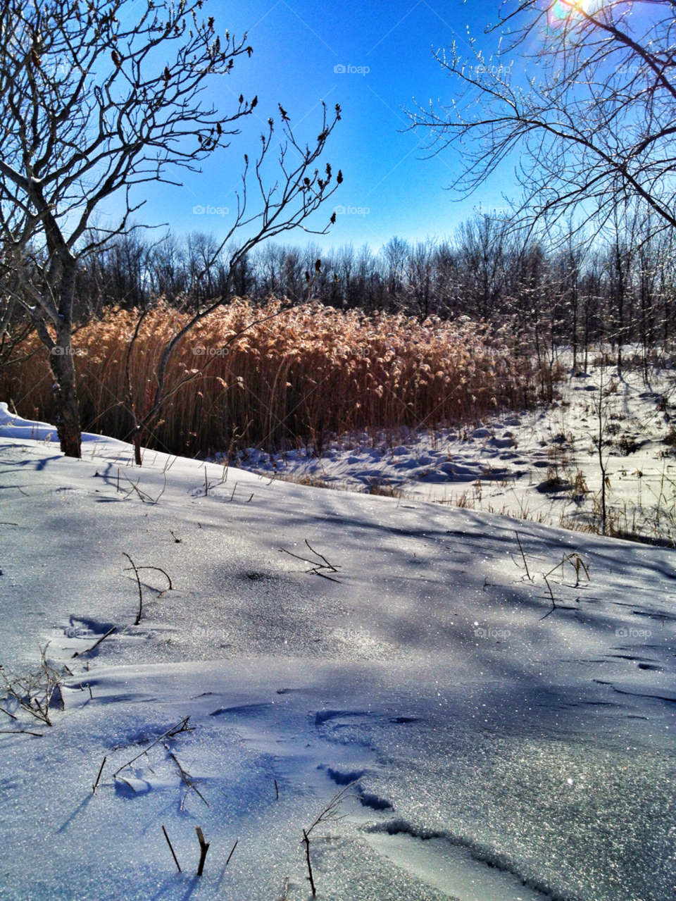 ice icy snow winter by somebeach