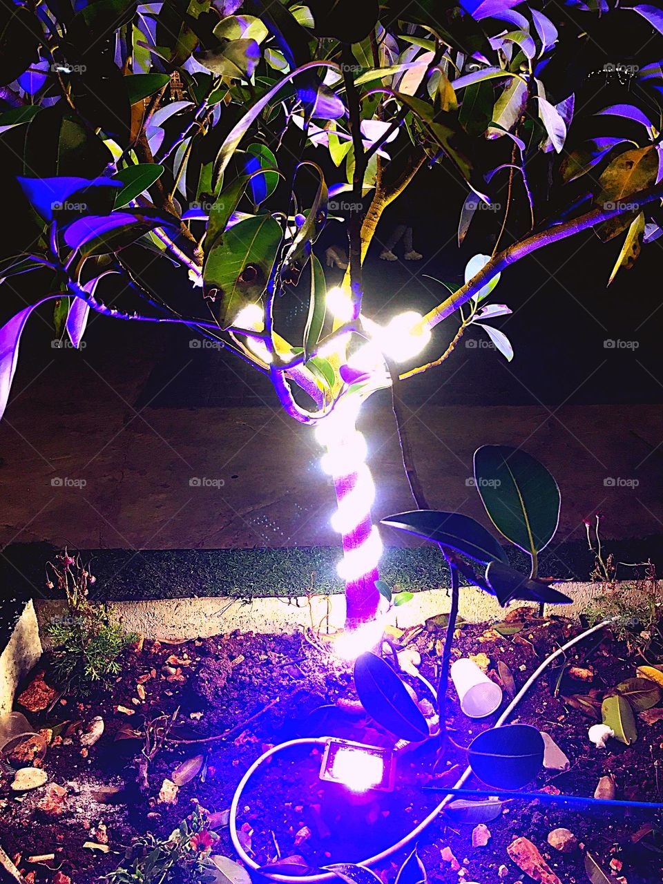 Celebration & lighting