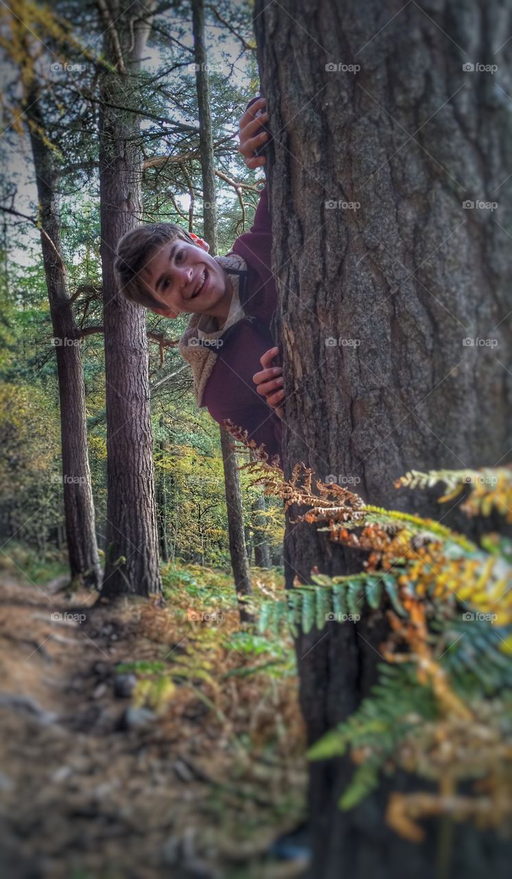 Portrait of teenage boy hiding behind tree trunk