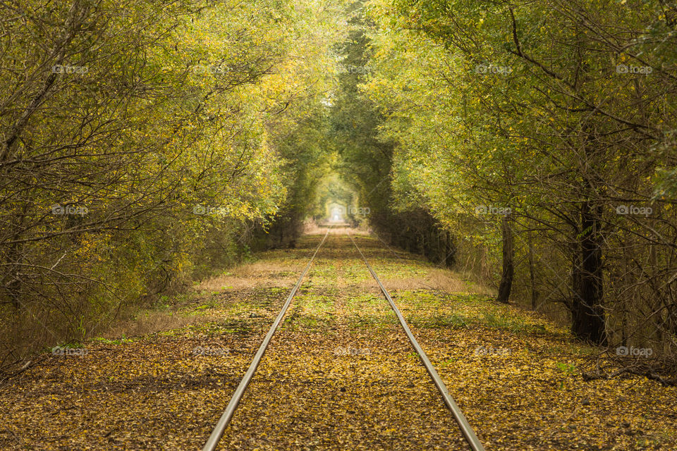 autumn on The rails