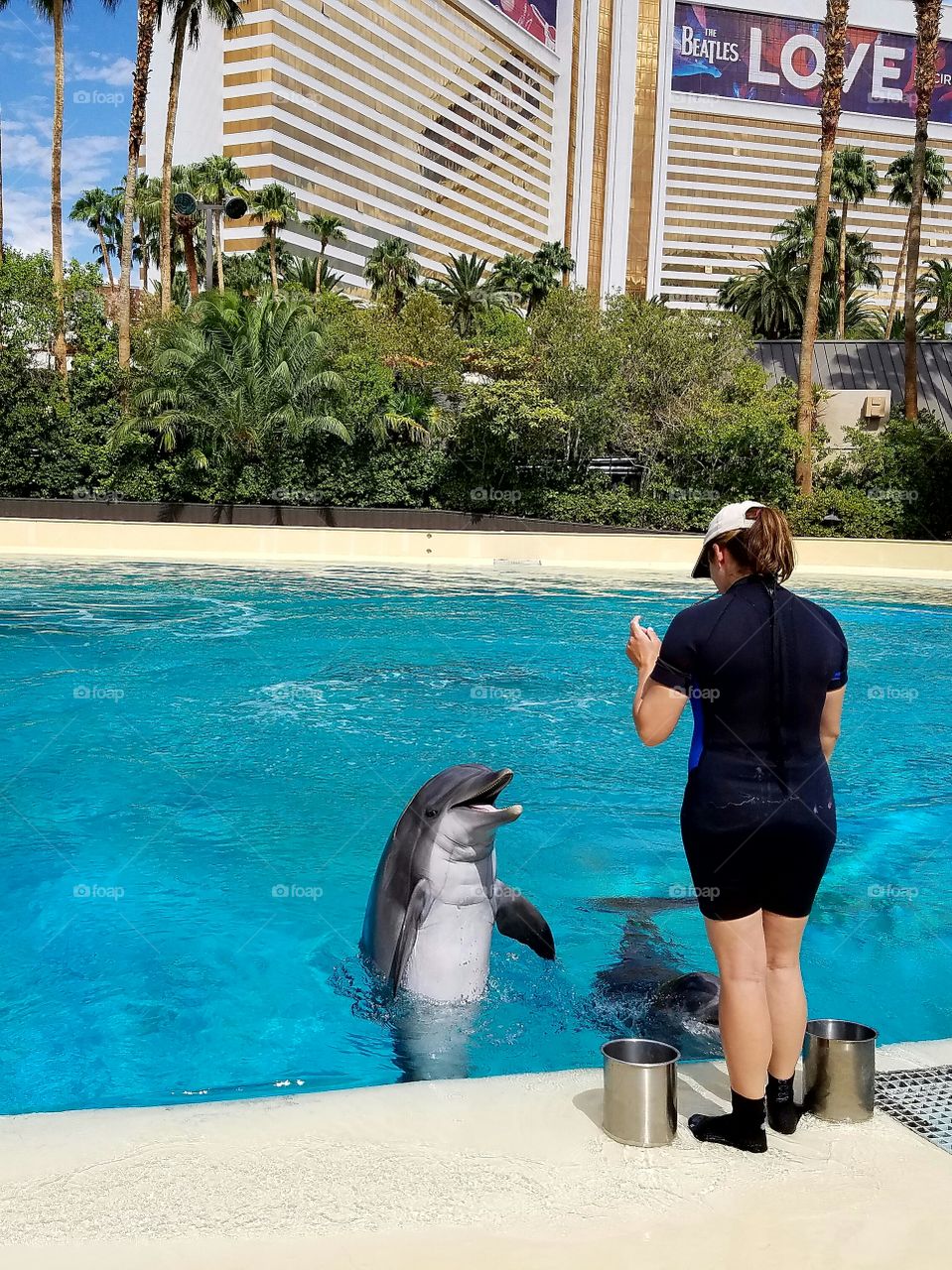 Swimming, Tropical, Water, Leisure, Summer