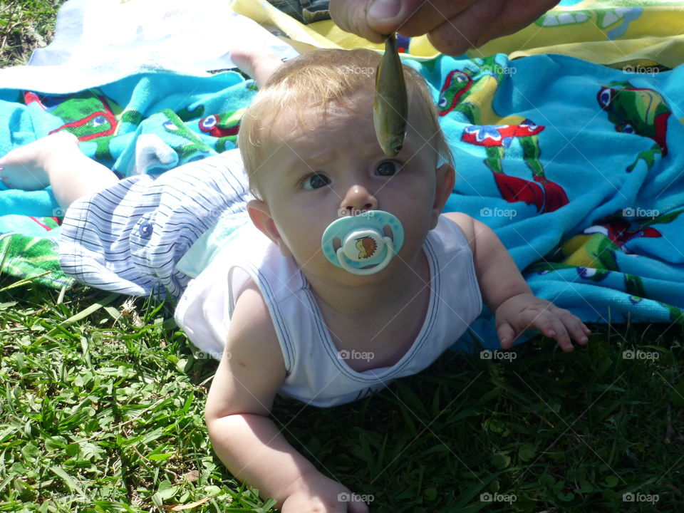 baby looking fish