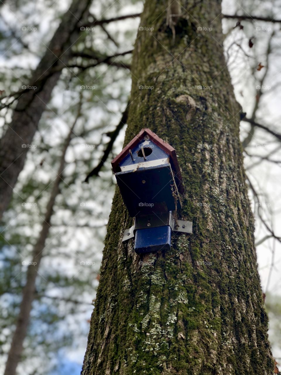 Low angle view of wooden birdhouse on tree