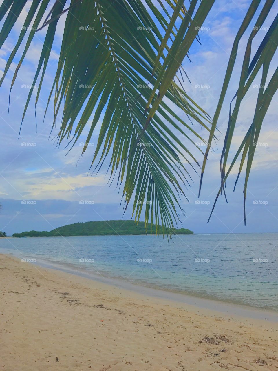 Vieques Island 