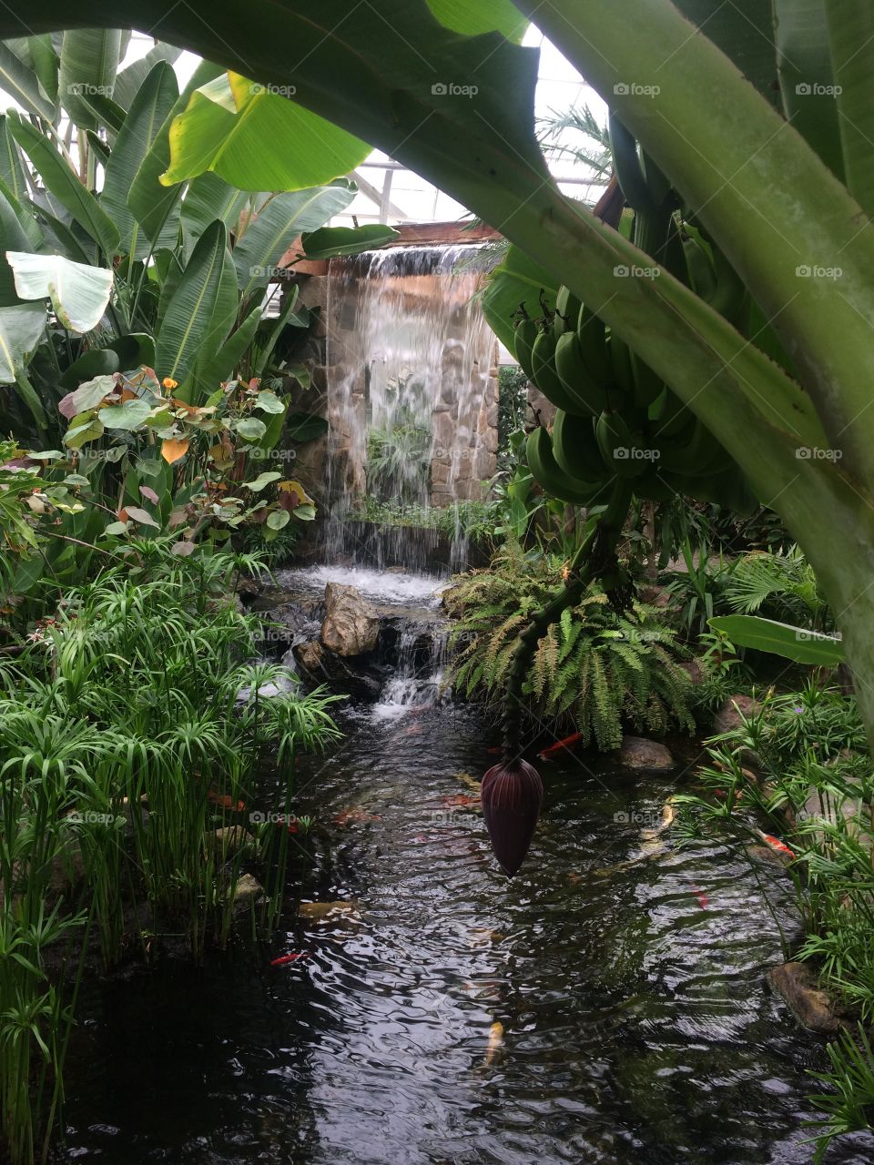 Greenhouse Waterfall