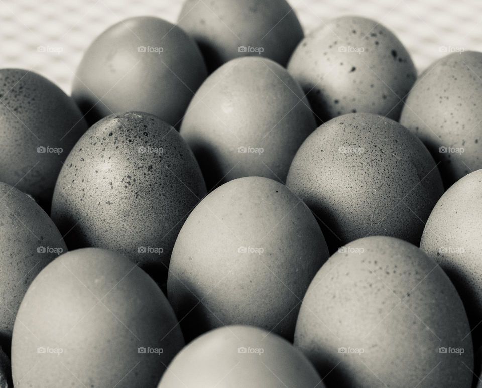 A batch of eggs