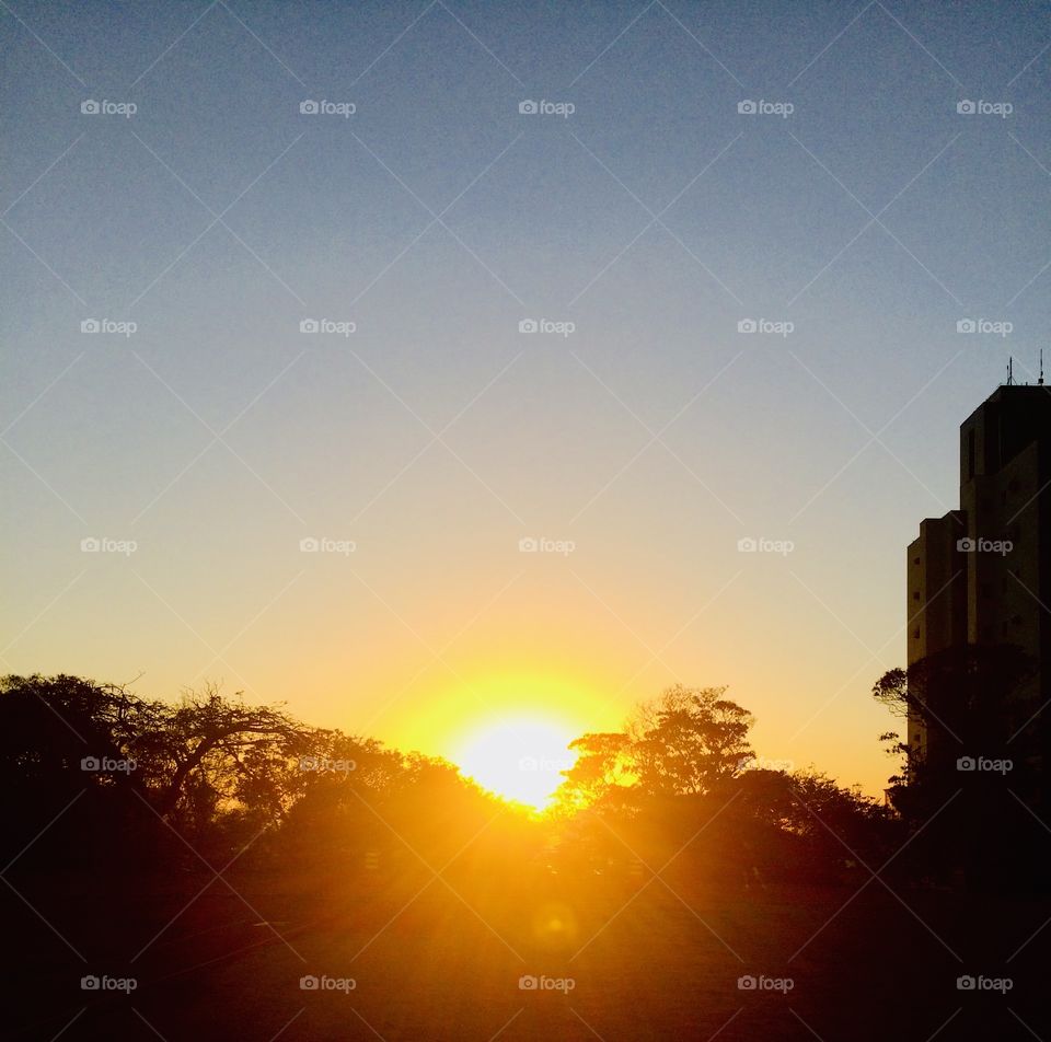 SOL / SUN - 🌄🇺🇸 An extremely beautiful dawn in Jundiaí, interior of Brazil. Cheer the nature! / 🇧🇷 Um amanhecer extremamente bonito em Jundiaí, interior do Brasil. Viva a natureza!