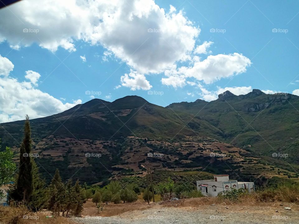 house's between the nature