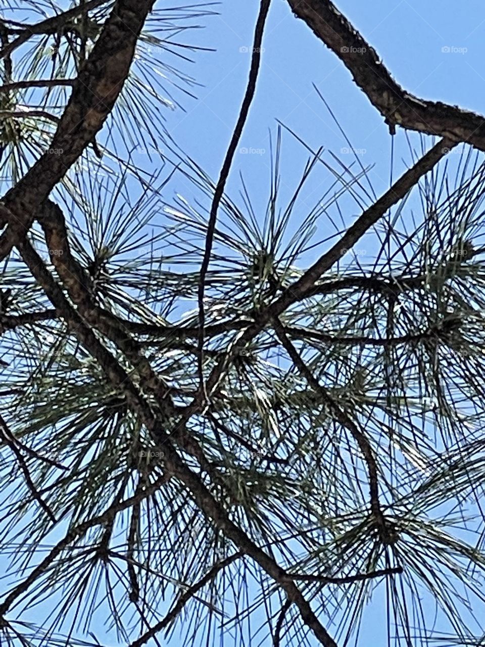 Blending with nature 