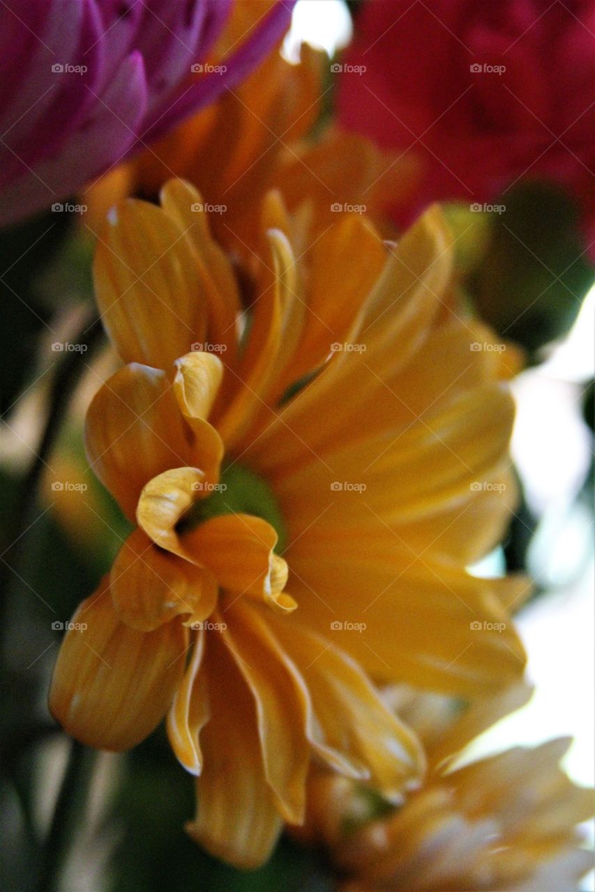 yellow flower from a bouquet