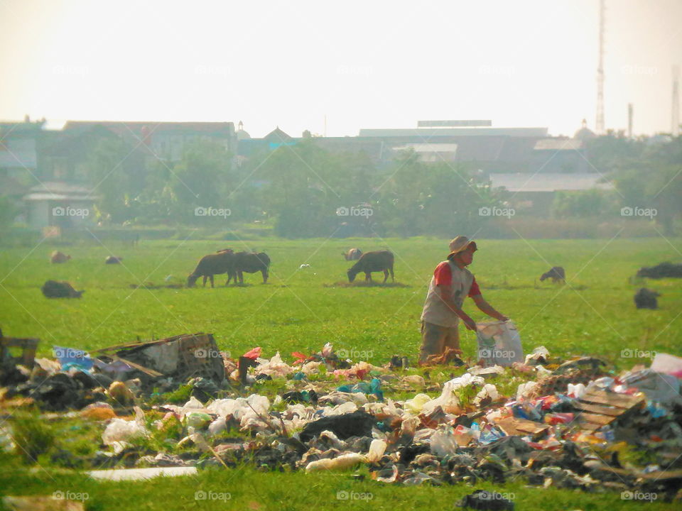 Scavenge fortune, for a bite of rice for the wife's child. The important thing is halal and blessing, wrestling with smelly & dirty is something that is normal for him. Hopefully and I pray, May God give him more sustenance