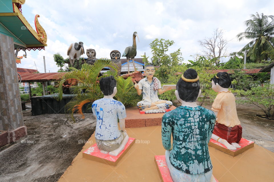 Outdoor sky nature bird 