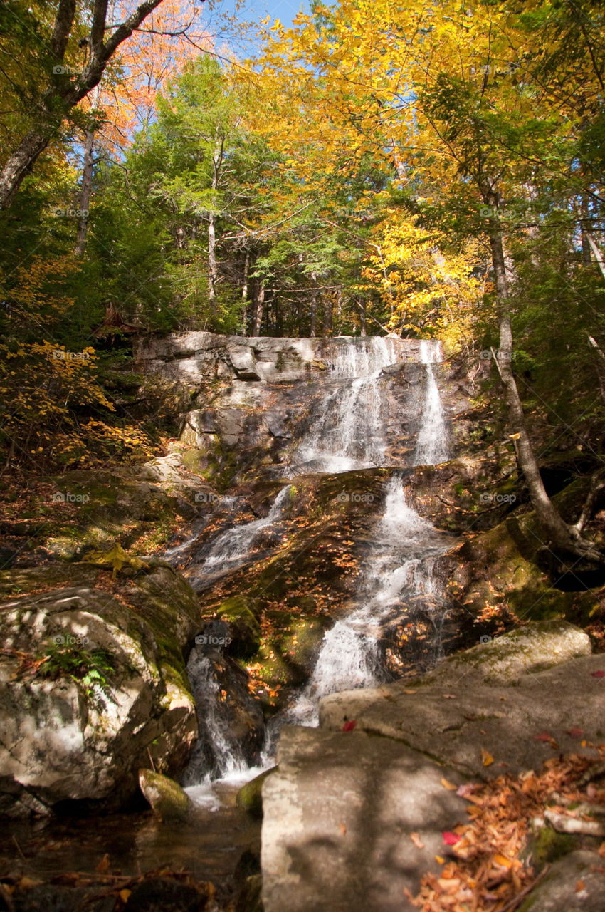 Waterfall in the woods during the fall