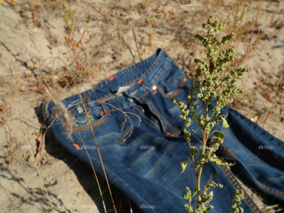 jeans lie on sand