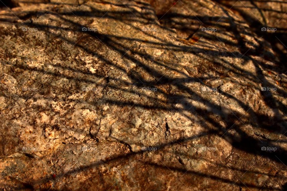 With a bit of creativity even the shadows of the grass can make an interesting subject.