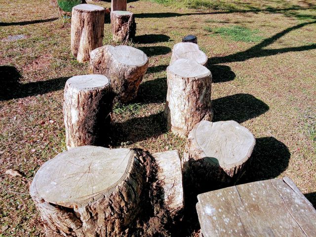 wooden seat