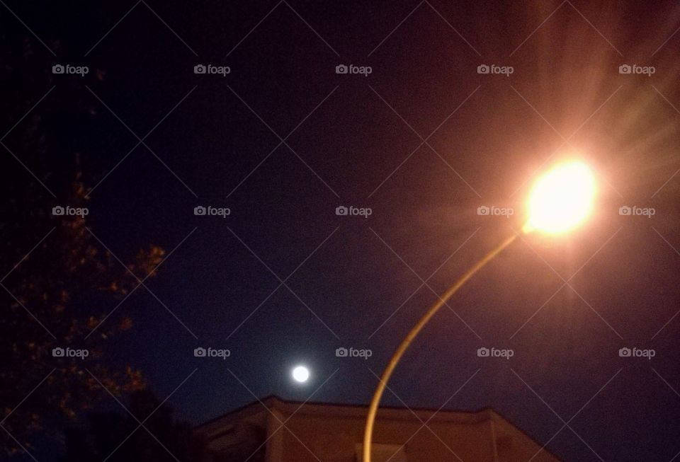 The moon and the lamppost