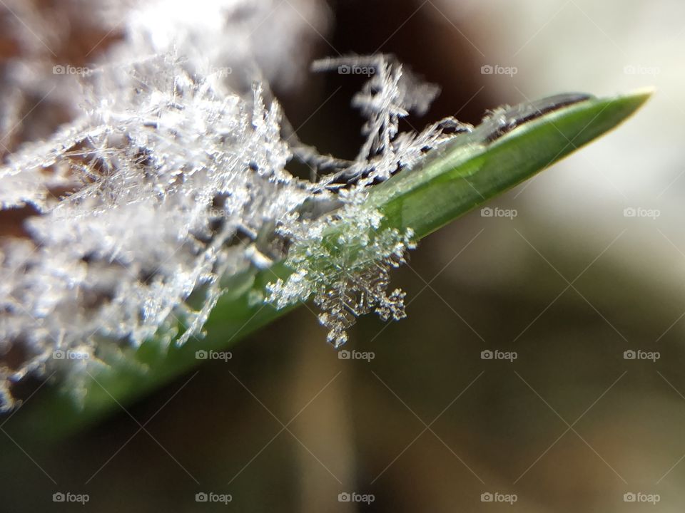 Snowflake macro 