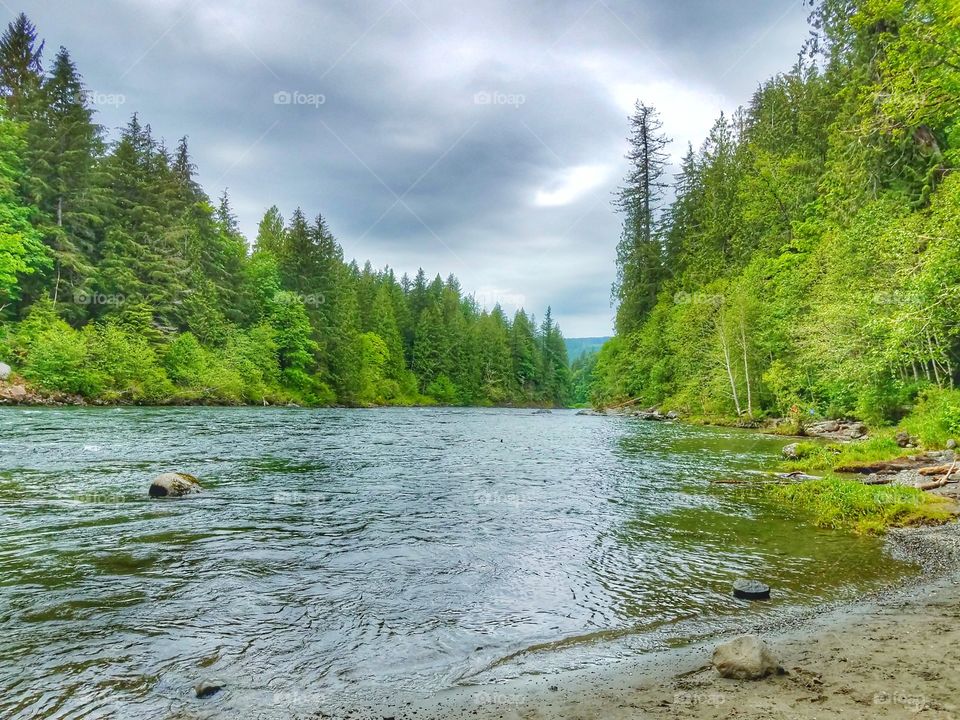 River in the woods