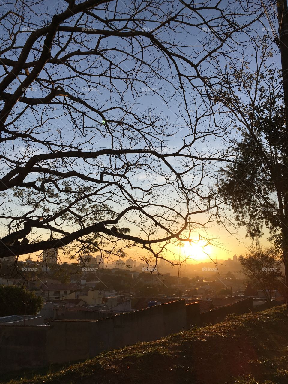 O #sol nascendo atrás do morro. Uma #paisagem muito bacana para ser registrada!
A #natureza nos mostra sempre coisas tão belas…
📸
#FOTOGRAFIAéNOSSOhobby
#landscapes #sun #mobgrafia #inspiração #nature #pictureoftheday