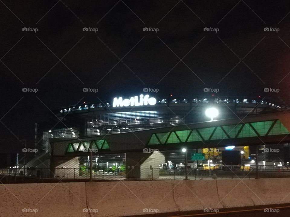 Stadium MetLife
