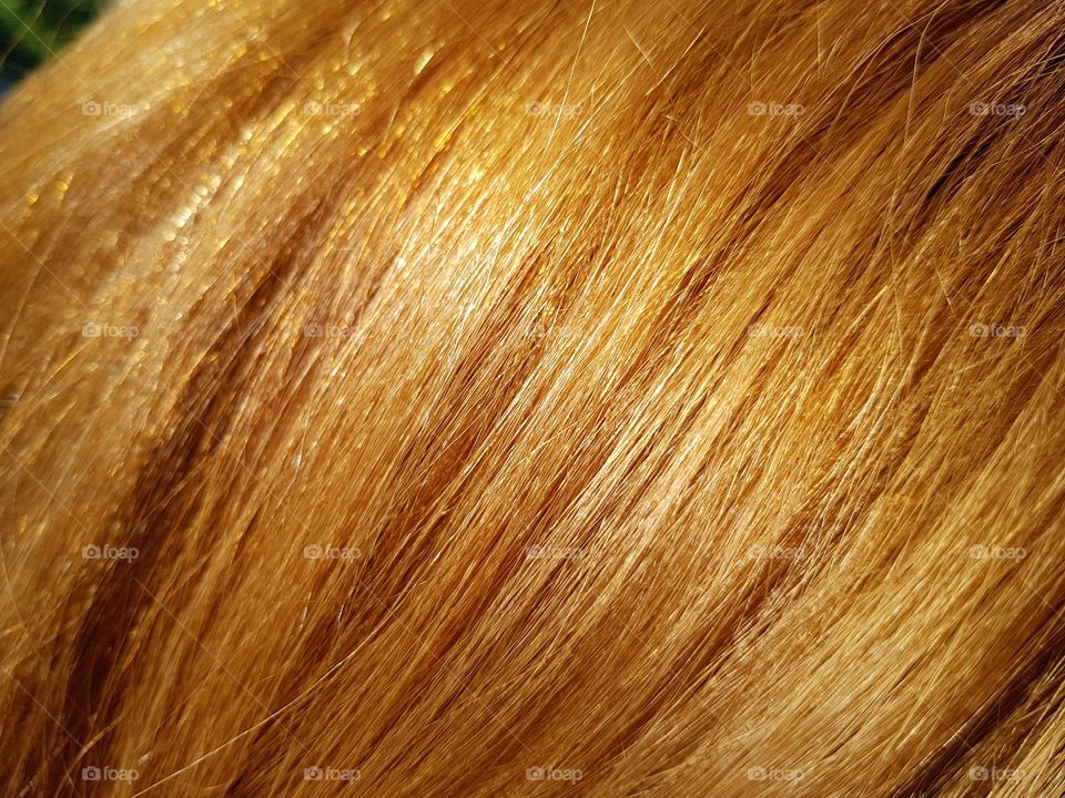 golden hair
