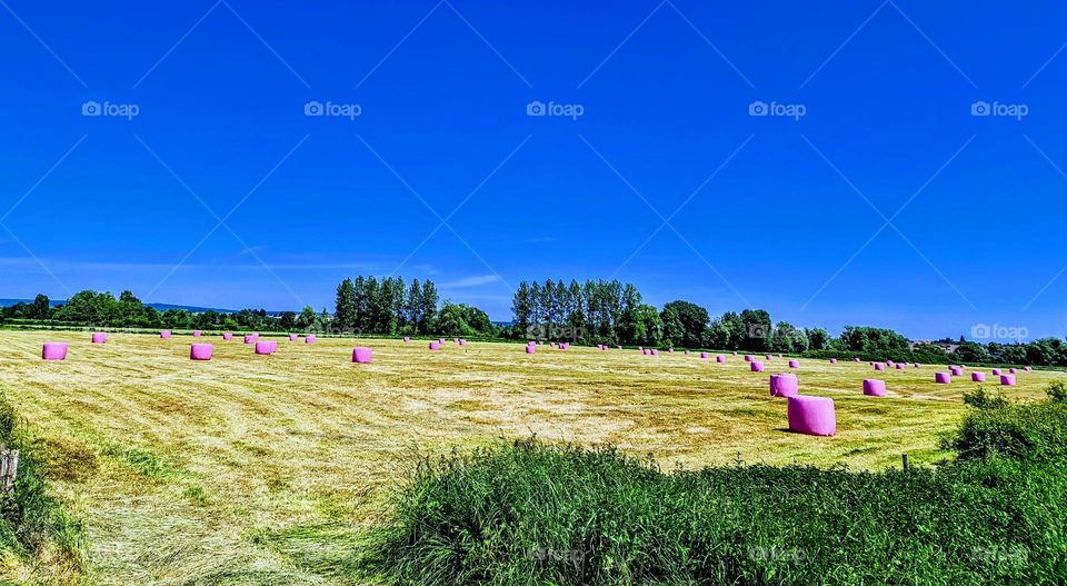 hay of bundle in my village