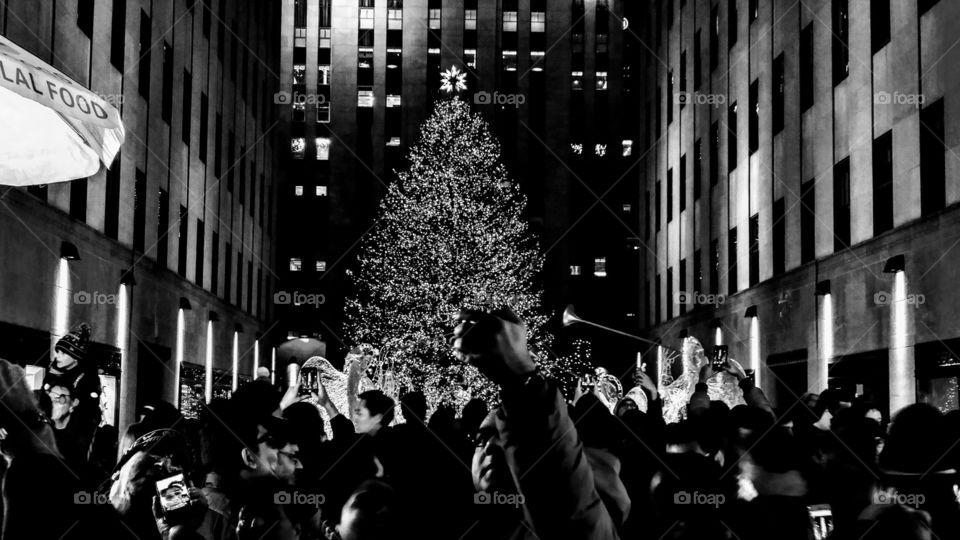 NYC christmas tree black and white