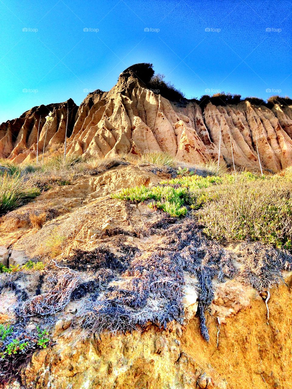 On the cliffs 