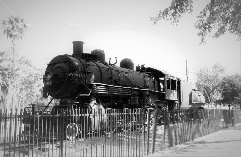 Train at Fairmount Park