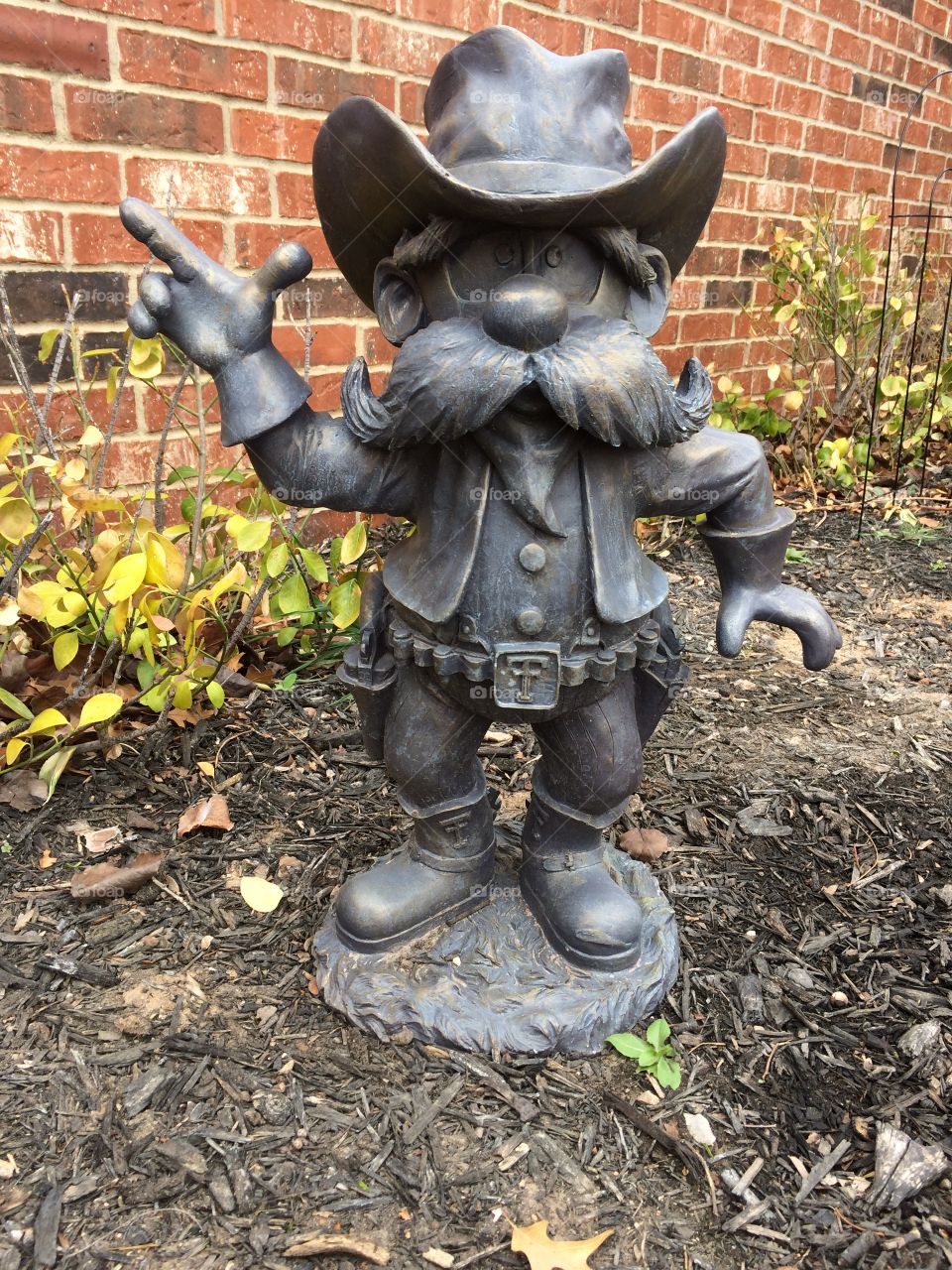 Texas Tech red raider