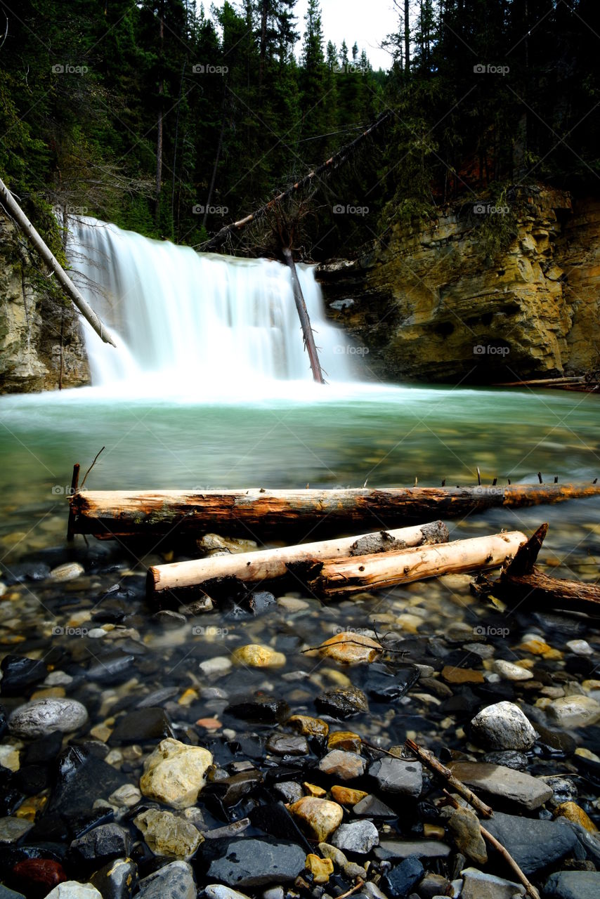 Water, Nature, Wood, Waterfall, River