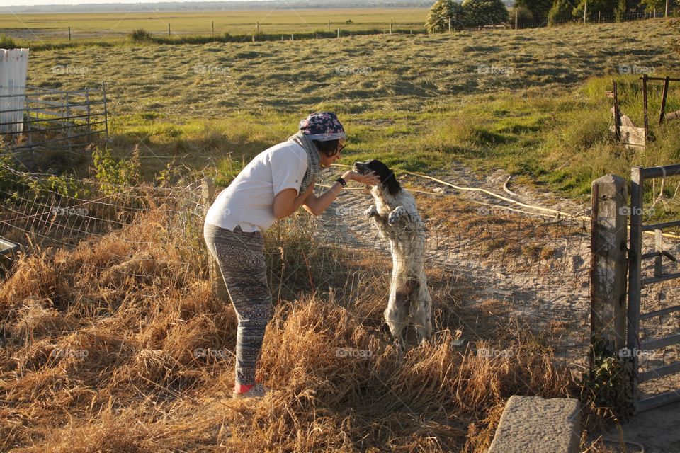 Landscape, Farm, Nature, Agriculture, Outdoors