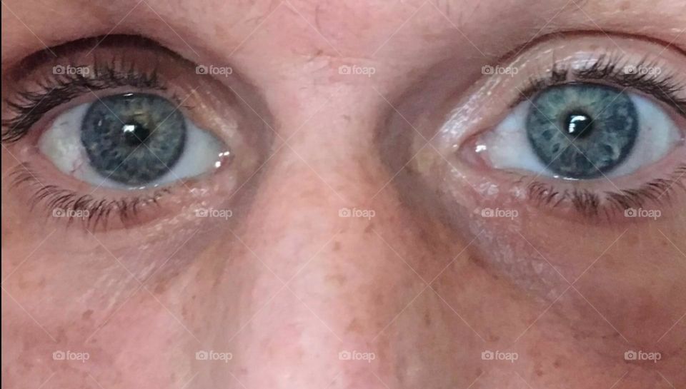 These are the starry blue eyes of my sweetheart for almost 16 years. It was love at first sight & it hasn’t worn off yet. He still gives me the butterflies today. Here’s to “Timothy Trespas”, who wields such powers over me.2022. Hypnotic Productions