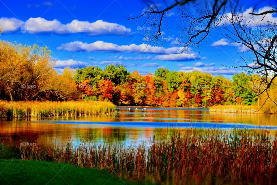 Autumn trees reflecting on a lake