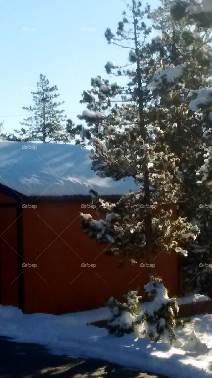snow on roof