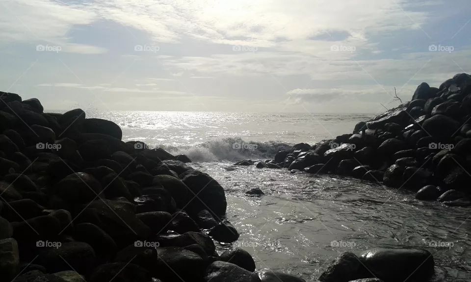 sunny ocean
