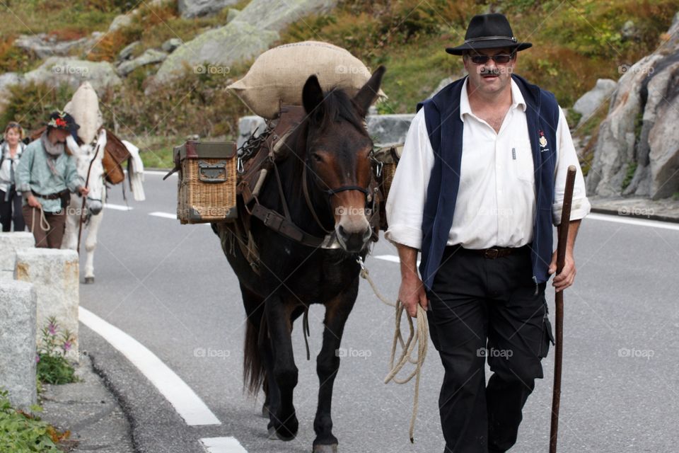 Mountain People Leading Mules On The Swiss Alps