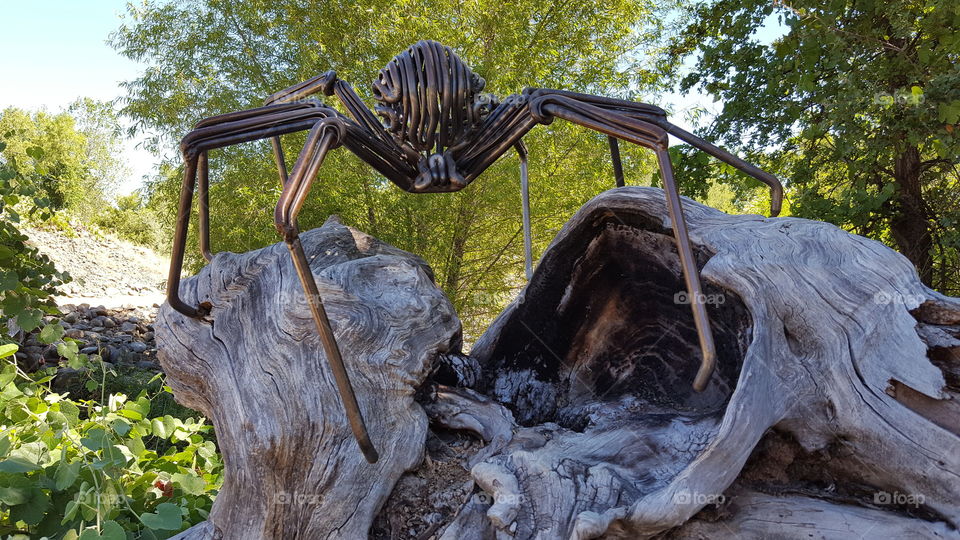 Along a path at the Sundial bridge park in redding, ca there is this metal sculpture of a spider sitting on an old tree stump