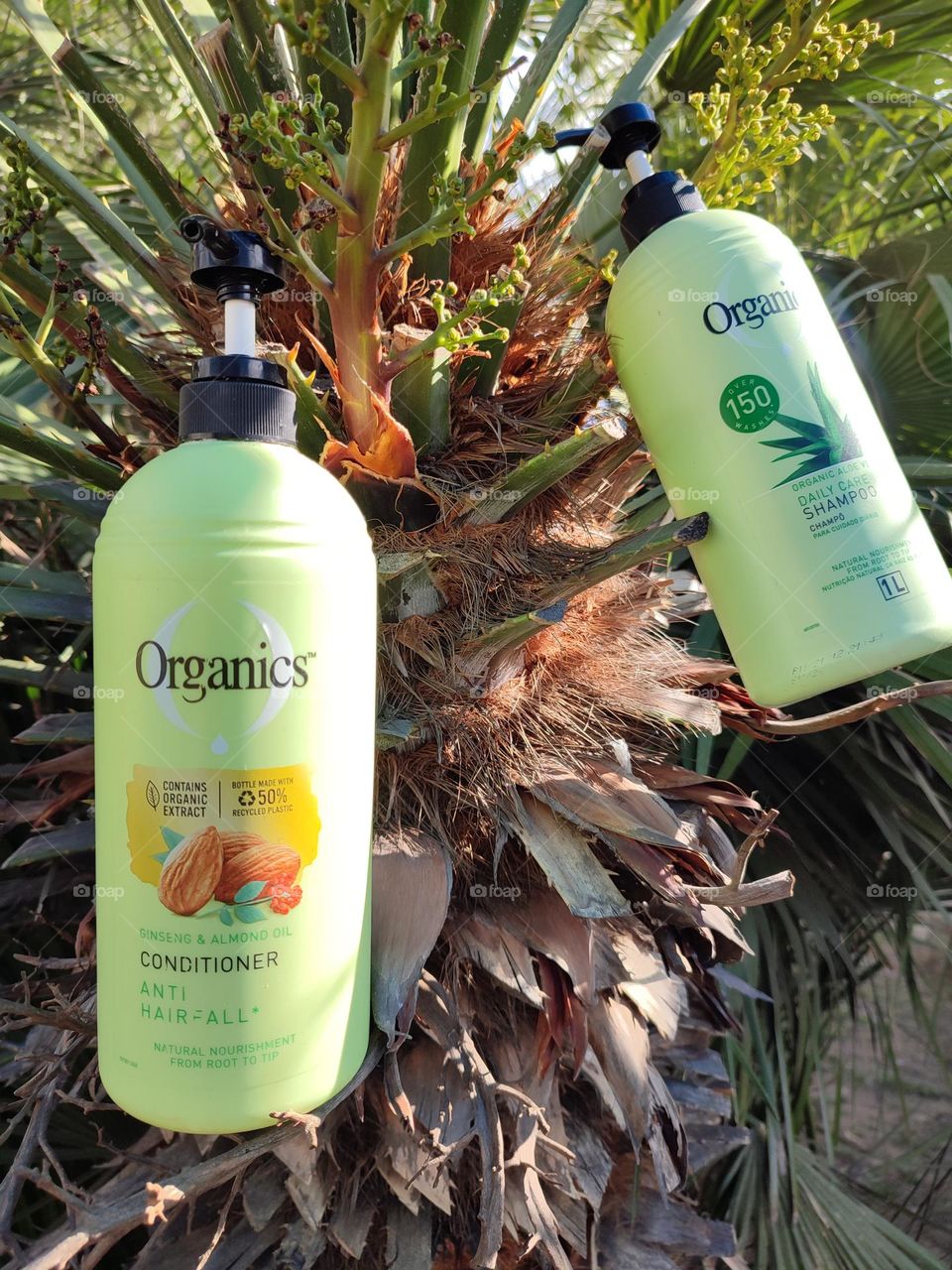 Organics Daily Care 2-in1, Shampoo and Conditioner