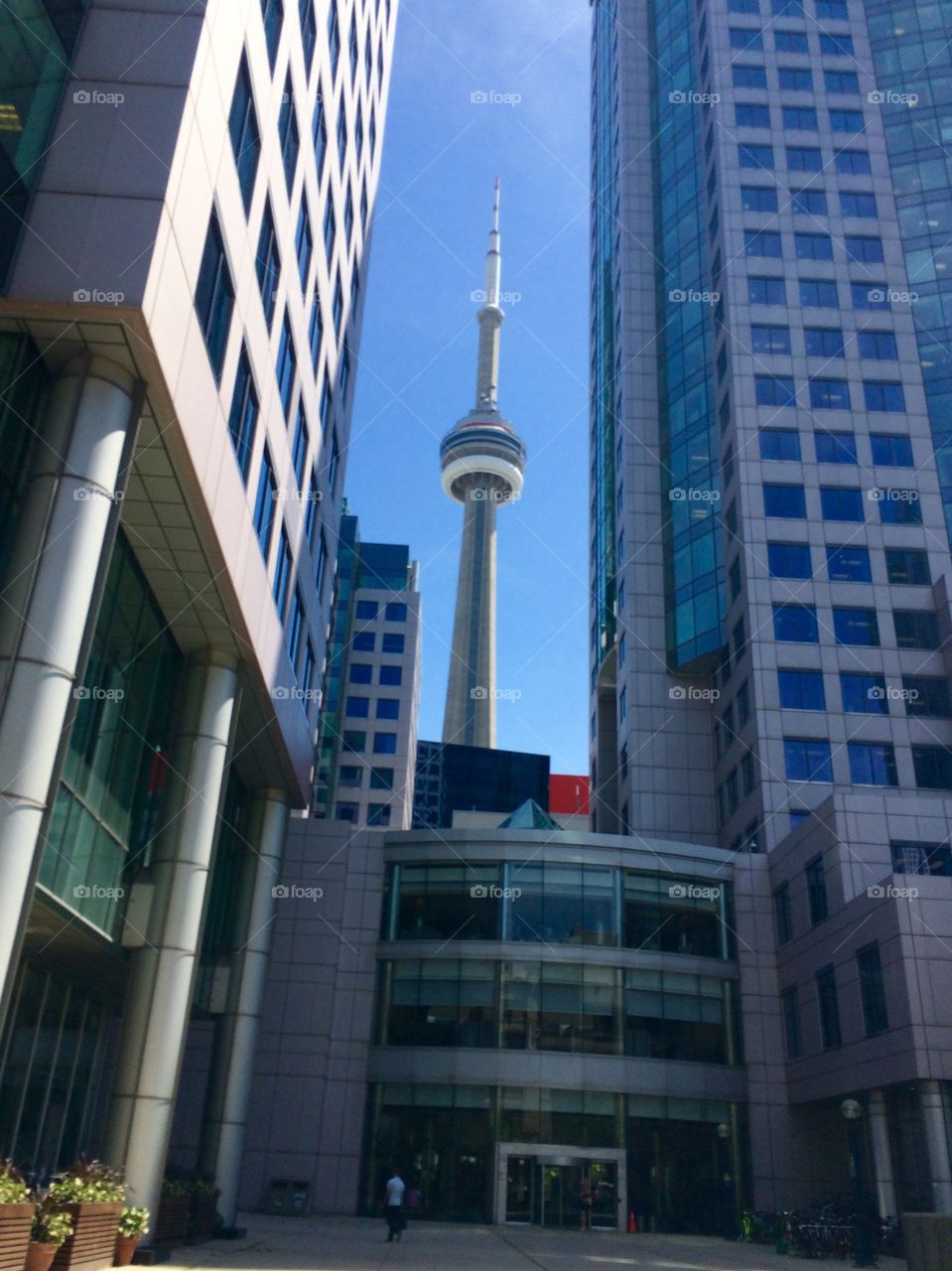 CN Tower