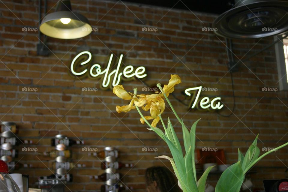 Coffee shop light and wall sign decor syrup bottles on wall and orchids on counter