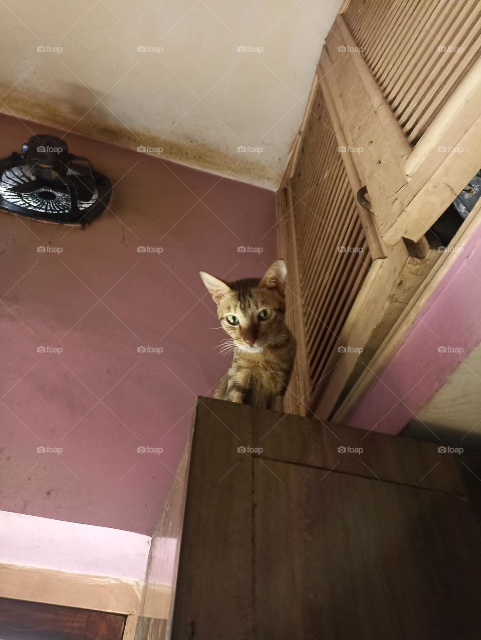 old times wordrobe i am going to hide my self