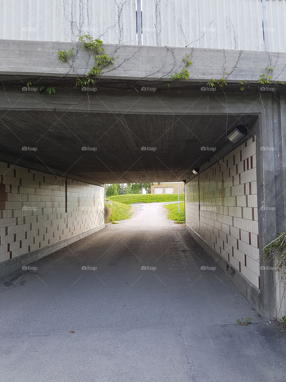 klätterväxter vid & på denna vägbro/tunnel