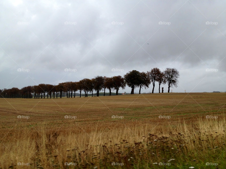 sweden field autumn skåne by cabday