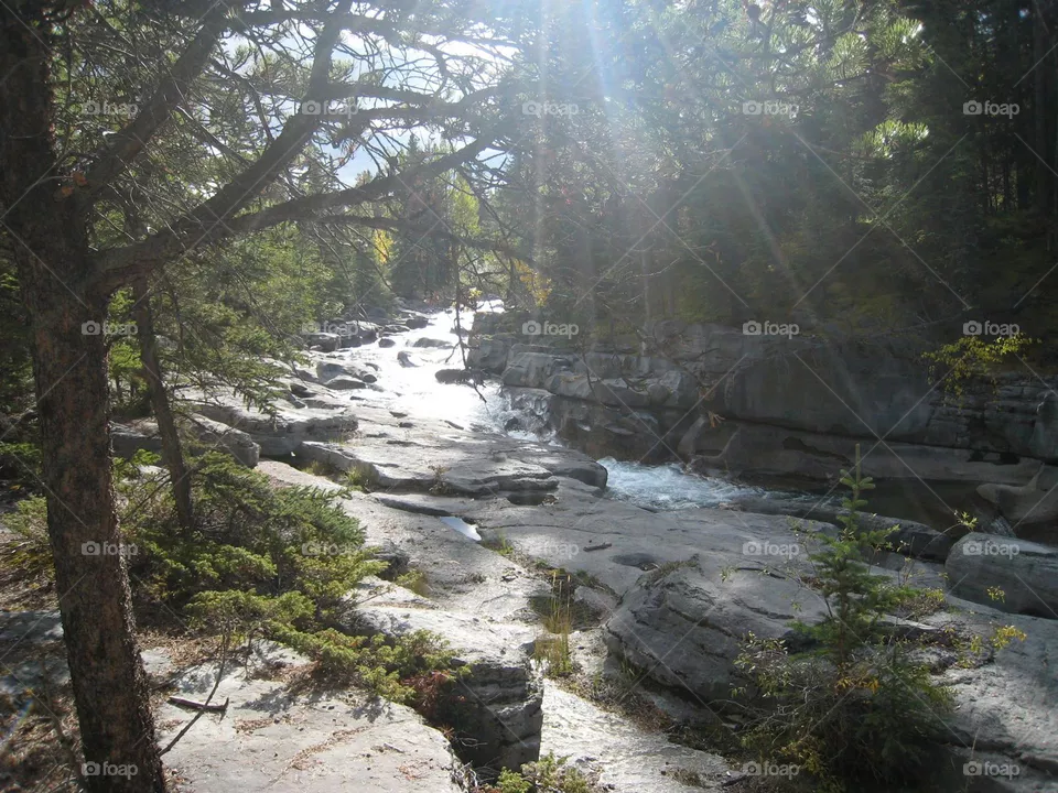 River view with sunshine 