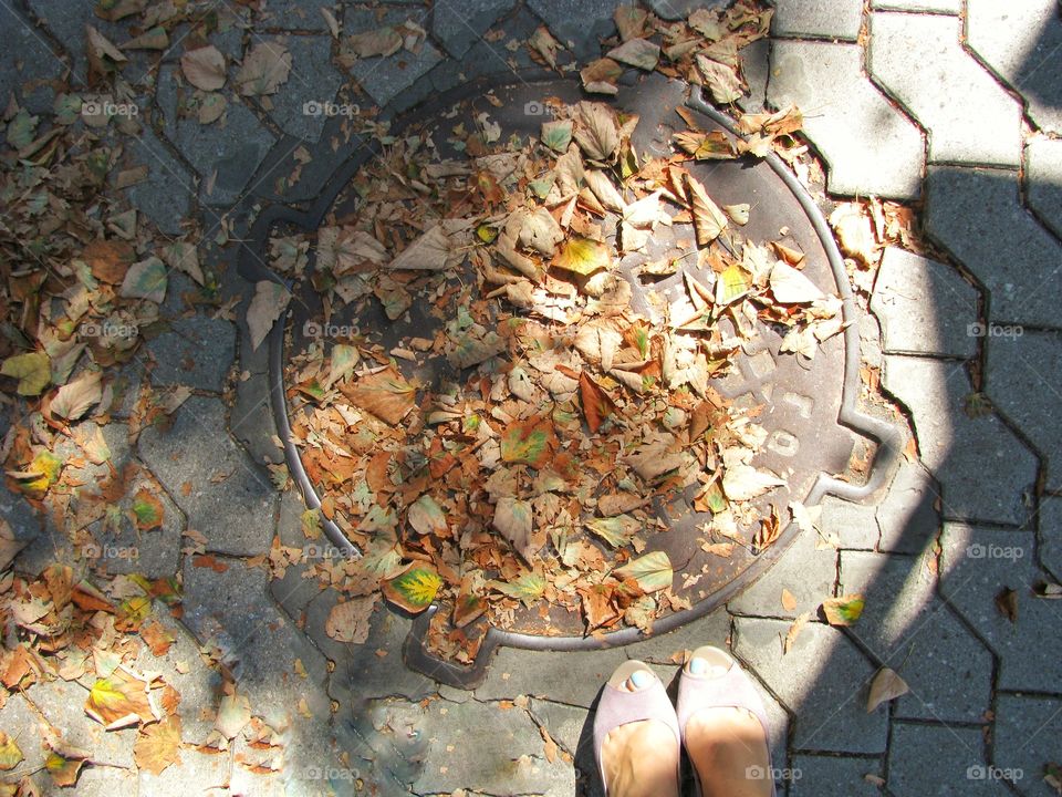 Hatch covered with dry leaves of autumn